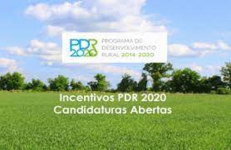 AVISO ESPECIFICO PARA PLANTA&Ccedil;&Otilde;ES PERMANENTES E CAPTA&Ccedil;&Otilde;ES DE &Aacute;GUA ASSOCIADAS
